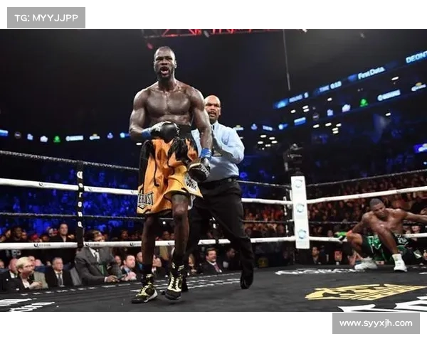 德昂泰·怀尔德复赛力克路易斯·奥尔蒂斯成功卫冕重量级世界拳王荣耀 德昂泰·怀尔德复赛力克路易斯·奥尔蒂斯成功卫冕重量级世界拳王荣耀